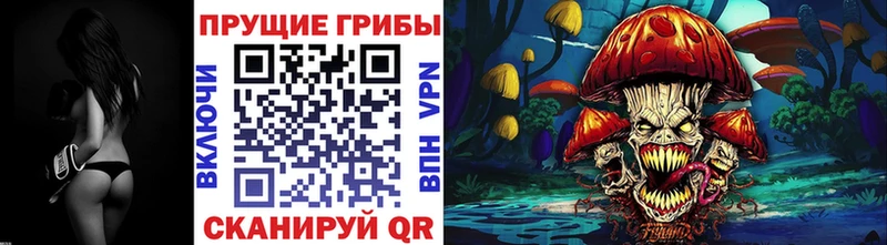 где купить Пыталово Псилоцибиновые грибы GOLDEN TEACHER