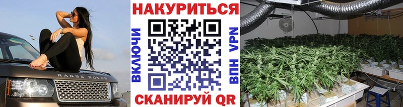 Конопля гибрид  ОМГ ОМГ как зайти  Пыталово 